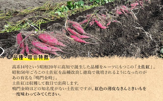 【2026年発送分】さつまいも(土佐紅) Lサイズ 10kg at-0054