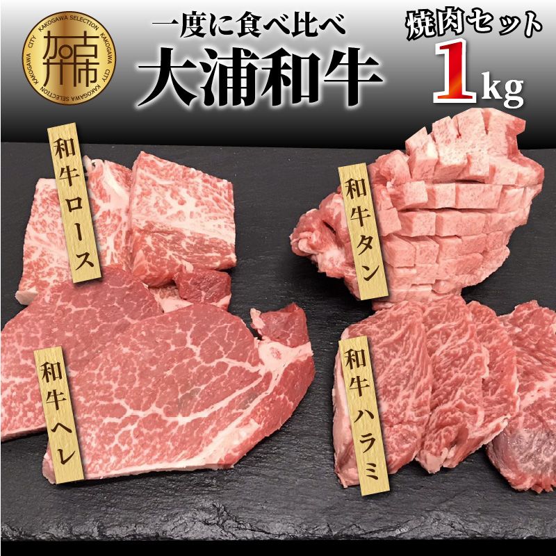 大浦和牛焼肉セット(1kg)[2405A00206]