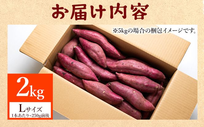 さつまいも(紅はるか) Lサイズ 2kg at-0010