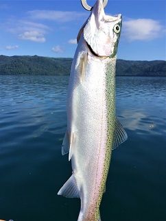 936.ワッカBBB宿泊券（４名様トラウト釣りプラン　夕食バーベキュー）