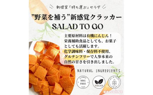 野菜を補うクラッカー（にんじん）10個セット　【茨城県産有機にんじん使用】食物繊維・ビタミンA豊富　化学調味料不使用　保存料不使用　グルテンフリー ※離島への配送不可