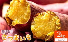 2026年最新版】ふるさと納税でもらえる「さつまいも」の人気返礼品