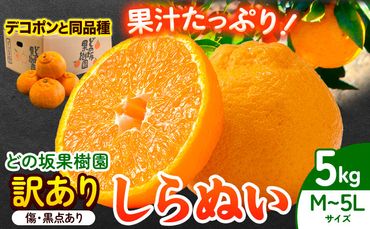 訳あり 不知火 ( デコポンと同品種 ) しらぬい 約5kg (M〜5Lサイズ) どの坂果樹園[2025年2月上旬-4月上旬頃出荷] 和歌山県 日高町 しらぬい でこぽん 旬 果物 フルーツ 柑橘 訳あり不知火 訳ありデコポン 訳ありしらぬい 送料無料---wsh_dsk5_ad24_24_9000_5kg---