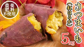 さつまいも ( 紅はるか ） 5kg 【 栽培期間中 / 農薬・肥料不使用 】土つき 高糖度 肥料不使用 自然栽培 スイーツ 焼き芋 天ぷら スイートポテト 秋 べにはるか 食物繊維