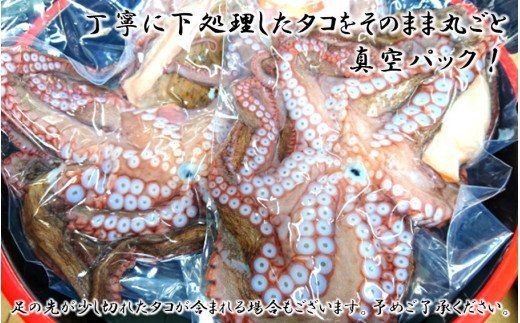 船上活き締め！生たこ丸ごと約1kg（約1～４杯）_1810R