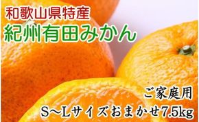 和歌山有田みかん約7.5kg ご家庭用 (サイズ混合) ★2024年11月中旬頃より順次発送 BZ057