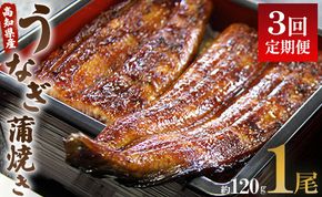 うなぎ 定期便 3回 うなぎ蒲焼き120g 1尾(無頭) 魚介 国産 海鮮 魚 かばやき 鰻 ウナギ 惣菜 おかず お手軽 加工品 加工食品 冷凍 Wun-0020