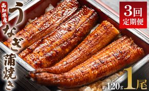 うなぎ 定期便 3回 うなぎ蒲焼き120g 1尾(無頭) 魚介 国産 海鮮 魚 かばやき 鰻 ウナギ 惣菜 おかず お手軽 加工品 加工食品 冷凍 Wun-0020