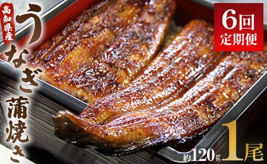 【6回定期便】うなぎ屋きた本 うなぎ蒲焼き120g 1尾(無頭) Wun-0021