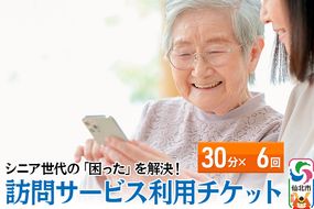 シニア世代の「困った」を解決！訪問サービス利用チケット 30分×6回分【ゴミ捨て、買い物代行、調理、スマホ指導、お話し相手、お掃除などにご利用可能】|02_aom-010601