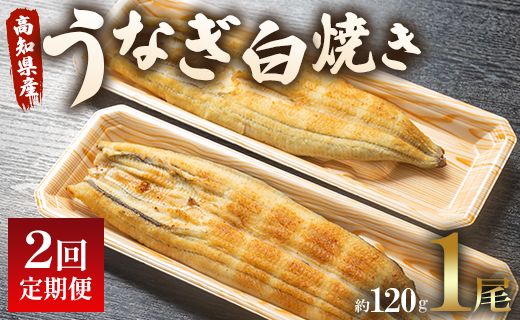 [2回定期便] 国産 うなぎ 白焼き 120g 1尾(無頭) うなぎ 魚介 国産 海鮮 魚 かばやき 鰻 ウナギ 惣菜 おかず お手軽 加工品 加工食品 冷凍 Wun-0031