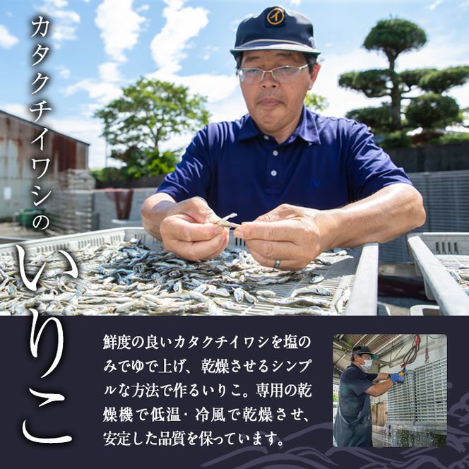 ＜訳あり・業務用＞カタクチイワシの「いりこ」 (計約1.5kg) 干物 ひもの 味噌汁 出汁 佃煮 お酒のおつまみ 大分県 佐伯市 【GH002】【増野善雄商店】