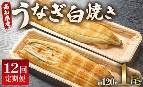 【12回定期便】 国産 うなぎ 白焼き 120g 1尾(無頭) うなぎ 魚介 国産 海鮮 魚 かばやき 鰻 ウナギ 惣菜 おかず お手軽 加工品 加工食品 冷凍 Wun-0034