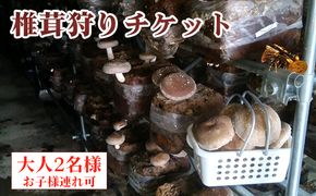 椎茸狩りチケット [No.905]