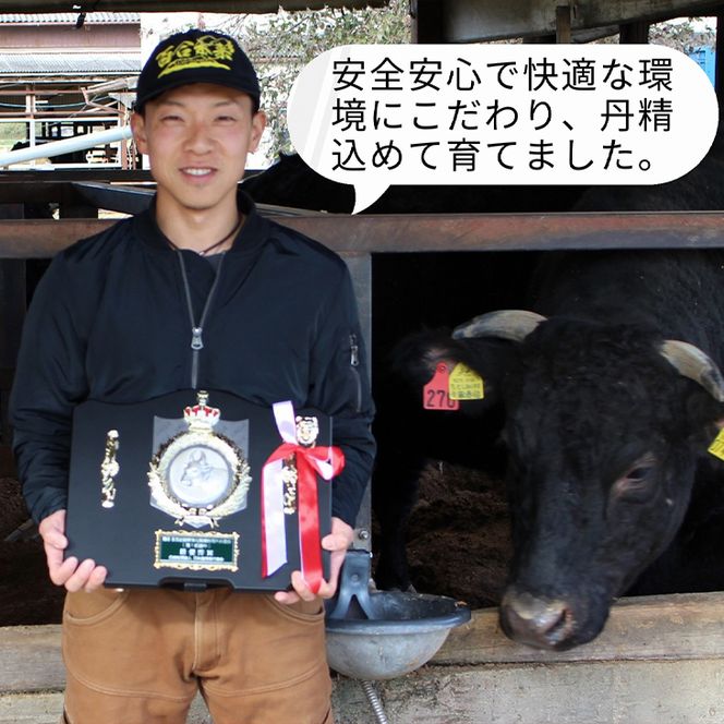 「亀岡牛」サーロインステーキ　3枚（600ｇ） ☆祝！亀岡牛 2023年最優秀賞（農林水産大臣賞）受賞
