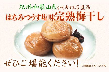 紀州南高梅使用 はちみつうす塩味完熟梅干し 800g 厳選館 《90日以内に出荷予定(土日祝除く)》 和歌山県 日高川町 紀州南高梅 はちみつうす塩 梅干し---wshg_tmt182_90d_24_14000_1p---