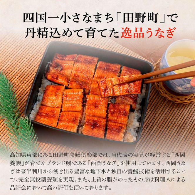 田野町産うなぎの蒲焼き(大) 4尾×3回 定期便 3ヶ月 定期コース 1尾あたり120～150g タレ付き 山椒付き うなぎ 鰻 ウナギ 蒲焼き かば焼き 無頭 おいしい 国産 お取り寄せ 冷凍 配送