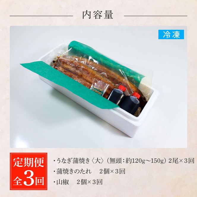 田野町産うなぎの蒲焼き(大) 2尾×3回 定期便 3ヶ月 定期コース 1尾あたり120～150g タレ付き 山椒付き うなぎ 鰻 ウナギ 蒲焼き かば焼き 無頭 おいしい 国産 お取り寄せ 冷凍 配送
