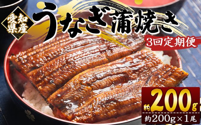 【3回定期便】愛知県産養殖うなぎ蒲焼き 約200g×１尾 魚介 国産 海鮮 魚 かばやき 鰻 ウナギ 惣菜 おかず お手軽 加工品 加工食品 冷凍 Wfb-0070