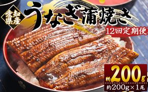 【1２回定期便】愛知県産養殖うなぎ蒲焼き 約200g×１尾 魚介 国産 海鮮 魚 かばやき 鰻 ウナギ 惣菜 おかず お手軽 加工品 加工食品 冷凍 Wfb-0072