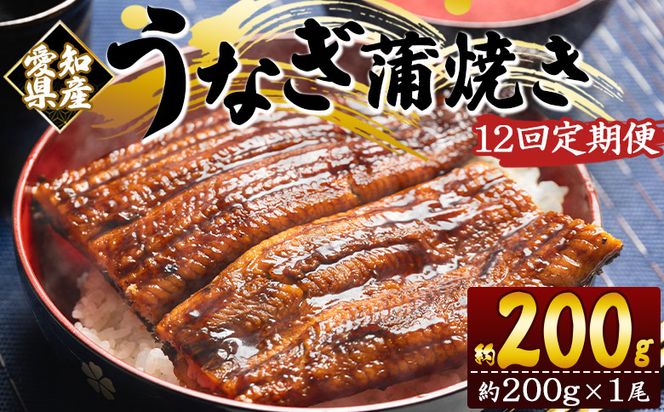 ymszy1QցzmY{BȂĂ 200g×P  Y CN  ΂₫ V EiM y  y Hi HHi Ⓚ Wfb-0072