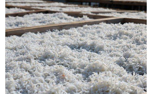 692.上干ちりめん165g×4パック(A692-2)