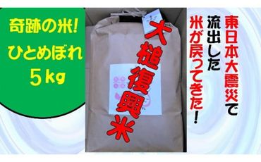 【思いやり型返礼品】奇跡の米「大槌復興米」5キロ【0tsuchi00502】