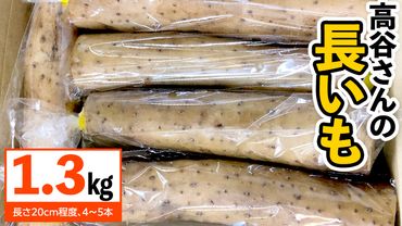高谷さんの 長いも 1.3kg 4～5本 旬 野菜 生野菜 根菜 長芋 ながいも とろろ 万能 カット済 [AM113us]