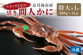 かに卸し問屋がお届け・浜競り厳選！幻の活間人ガニ 900ｇ～1ｋｇ 特大サイズ（11月発送）／北畿水産　HK00301