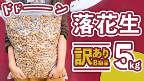 【 訳あり 】 メガ B級 落花生 5kg 業務用 野菜 豆 特産品 農園 自家栽培 ピーナッツ ピーナツ おつまみ ビールのお供 国産 茨城 [AD011us]