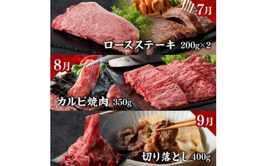 【定期便】宮崎牛　匠の堪能セット 12か月定期便 【 肉 牛肉 国産 黒毛和牛 宮崎牛 全12回 焼肉 しゃぶしゃぶ 焼きしゃぶ BBQ 宮崎県 川南町 】[D11401t12]