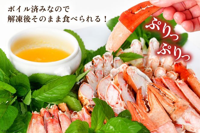 【年内配送 12/15まで受付】大人気！リピーター続出 まるずわいがに 肩脚肉 総重量1kg (3-5肩相当) [カネダイ 宮城県 気仙沼市 20564327] かに カニ かに物語 まるズワイガニ 丸ずわいがに マルズワイガニ 蟹 ずわい