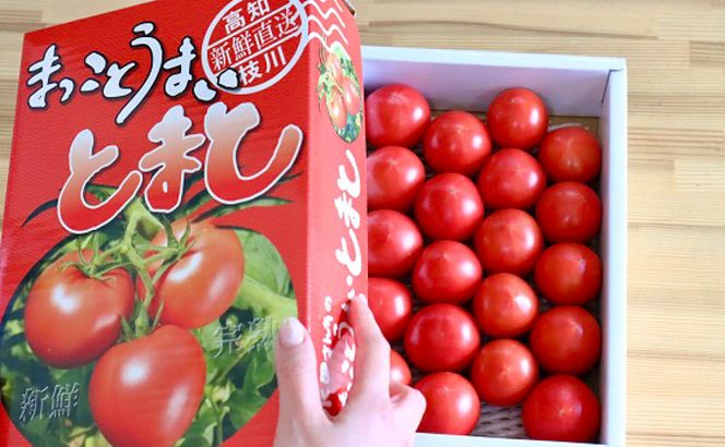 まっことうまい！水田さんのフルーツトマト【約１kg×2箱 / 化粧箱入】