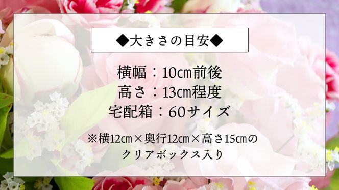 ≪ギフト≫プリザーブドフラワーS プリザーブドフラワー インテリア ギフト プレゼント 誕生日 記念日 母の日 父の日 [CT031ci]
