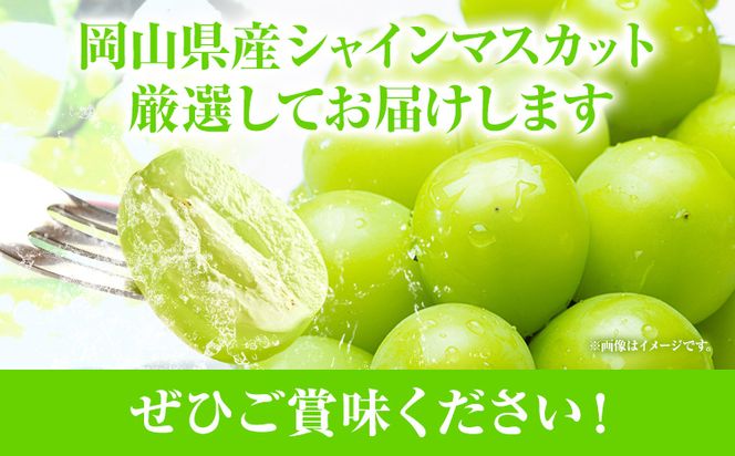 家庭用つる付きシャインマスカット 2房(1房530g以上)【配送不可地域あり】有限会社ホーティカルチャー神島 令和7年産先行受付《9月上旬-10月下旬頃出荷》岡山県 笠岡市 送料無料 葡萄 フルーツ 果物 シャインマスカット つる付き お取り寄せフルーツ---H-31a---