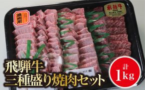 AB-52 A5飛騨牛　三種盛り焼肉セット計1㎏