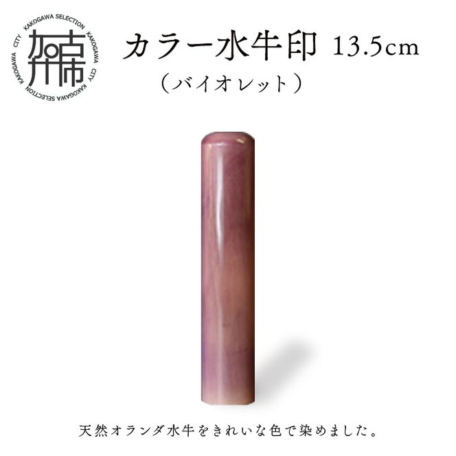 カラー水牛印【天然オランダ水牛】(バイオレット)13.5mm