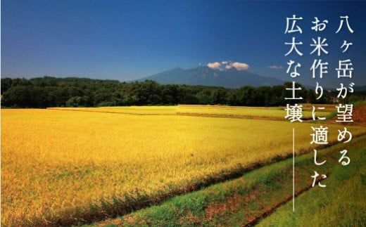 ★令和6年産★山梨県産 武川米こしひかり5kg 115-002