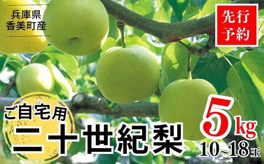 [先行予約]梨 [20世紀梨 ご自宅用 5kg サイズ L〜5L混合(10〜18玉)]ご自宅用 大人気 人気 ふるさと納税 おすすめ 返礼品 ランキング 二十世紀梨 果肉 JAたじま 12000円