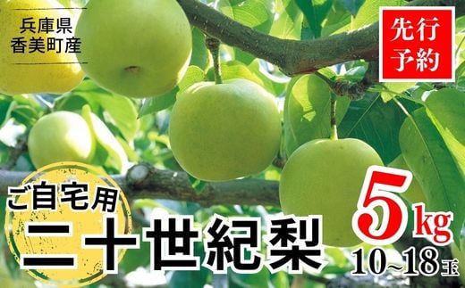 [先行予約][20世紀梨 ご自宅用 5kg(10〜18玉)]サイズバラつき有り(L〜5L)傷あり 不揃い ご自宅用 大人気 二十世紀梨 果肉はしっかり シャキシャキの食感 ほどよい甘さとみずみずしさ