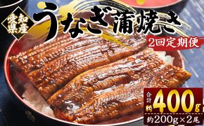 【２回定期便】愛知県産養殖うなぎ蒲焼き 約200g×2尾 魚介 国産 海鮮 魚 かばやき 鰻 ウナギ 惣菜 おかず お手軽 加工品 加工食品 冷凍 Wfb-0073