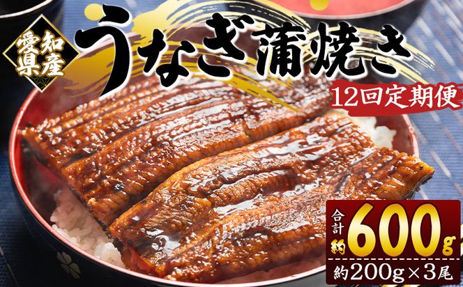 【1２回定期便】愛知県産養殖うなぎ蒲焼き 約200g×3尾 魚介 国産 海鮮 魚 かばやき 鰻 ウナギ 惣菜 おかず お手軽 加工品 加工食品 冷凍 Wfb-0080