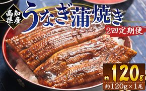 国産 うなぎ 定期便 100g～120g １尾 2回 蒲焼き 高知県産 養殖 魚介 国産 海鮮 魚 かばやき 鰻 ウナギ 惣菜 おかず お手軽 加工品 加工食品 冷凍 Wfb-0033