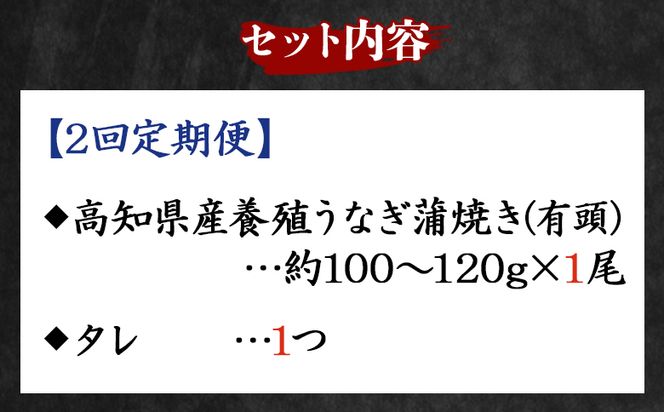 国産 うなぎ 定期便 100g～120g １尾 2回 蒲焼き 高知県産 養殖 魚介 国産 海鮮 魚 かばやき 鰻 ウナギ 惣菜 おかず お手軽 加工品 加工食品 冷凍 Wfb-0033