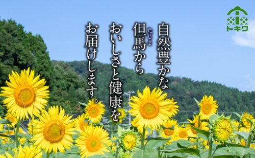 【トキワセット 360mlセット】 発送目安：入金確認後3週間以内 兵庫県 香美町 香住 べんりで酢 お酢 えーだし 和風だし なんでもごたれ あまから醤油味 トキワ 16-03