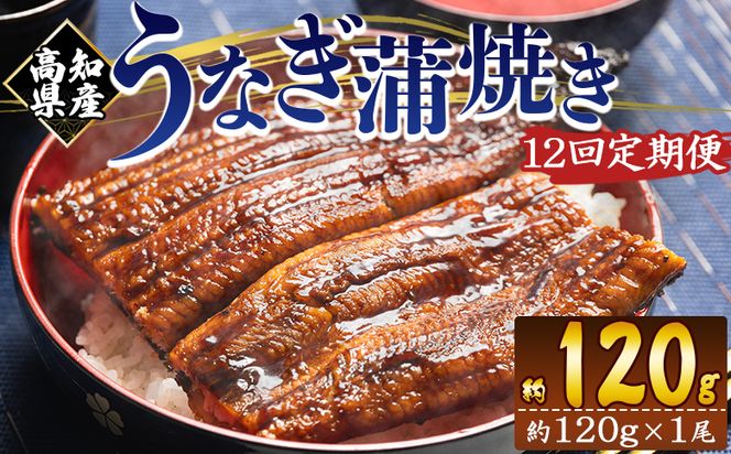 国産 うなぎ 定期便 100g～120g １尾 12回 蒲焼き 高知県産 養殖 魚介 国産 海鮮 魚 かばやき 鰻 ウナギ 惣菜 おかず お手軽 加工品 加工食品 冷凍 Wfb-0036