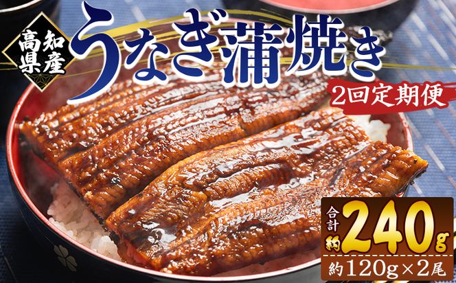 国産 うなぎ 定期便 100g～120g 2尾 2回 蒲焼き 高知県産 養殖 魚介 国産 海鮮 魚 かばやき 鰻 ウナギ 惣菜 おかず お手軽 加工品 加工食品 冷凍 Wfb-0037