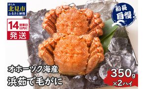 《14営業日以内に発送》オホーツク海産 浜茹で毛がに 350g×2ハイ 冷凍 ( かに カニ 毛ガニ 魚介類 蟹 )【114-0021-2024】