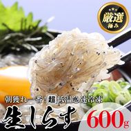 【0113401a】鹿児島県産生しらす(冷凍)(計600g・100g×6パック)シラス 魚 魚介類 小分け 国産 鹿児島 冷凍【東串良町漁業協同組合】