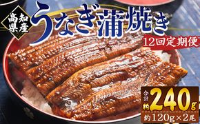 国産 うなぎ 定期便 100g～120g 2尾 12回 蒲焼き 高知県産 養殖 魚介 国産 海鮮 魚 かばやき 鰻 ウナギ 惣菜 おかず お手軽 加工品 加工食品 冷凍 Wfb-0040